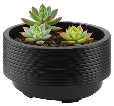 Image de Lot de 12 pots de fleurs ovales en plastique, avec trous de drainage