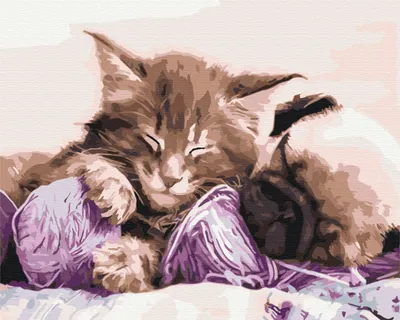 Produktbild von Bild Male es! Malen nach Zahlen. Katze und Hund