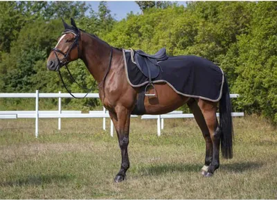 Immagine prodotto di Equitheme Polyfun Polar Sweat Rug per cavalli Nero 140 cm Nero 140 cm