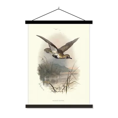 Produktbild von MuchoWow® Textilposter Antiker Vogeldruck Goldregenpfeifer 40x53 cm mit schwarzem Rahmen - Abbildung