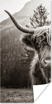 Produktbild von MuchoWow® Poster Schottischer Highlander - Stier - Schwarz - Weiß 60x120 cm - Wandschmuck