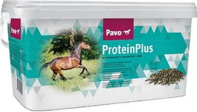 Obrázek produktu pro Pavo ProteïnPlus 7kg
