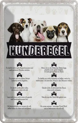 Produktbild von vianmo Blechschild 18x12 cm Hunderegel lass mich raus Hund