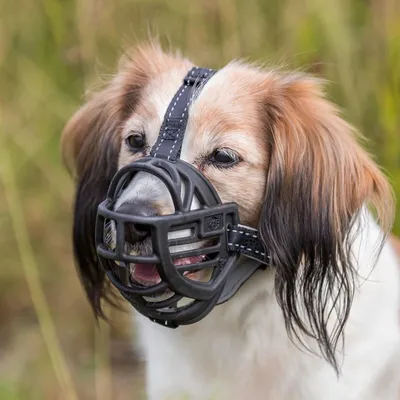 Produktbild von TRIXIE Maulkorb Muzzle Flex - schwarz