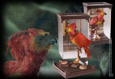 Produktbild von Harry Potter – Magische Kreaturen: Fawkes, der Phönix