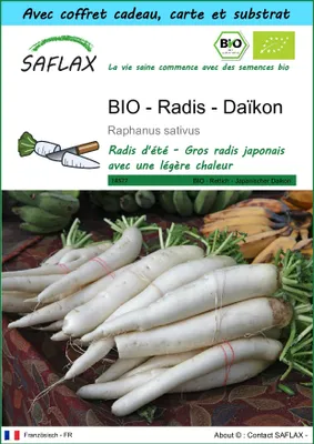 Image de SAFLAX Ensemble-cadeau -- Radis - Daïkon - 100 graines - Raphanus
