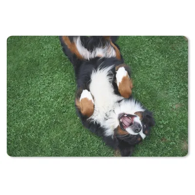 Produktbild von MuchoWow® Mauspad Mousepad Berner Sennenhund im Gras liegend 27x18 cm - Mousepads - Maus Mat - Pad - Mausunterlage - Büroartikel - Desk Matten