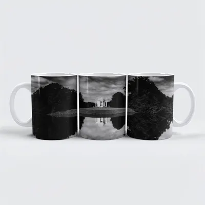 Produktbild von raxxa Premium-Tasse "Die Schwaneninsel"