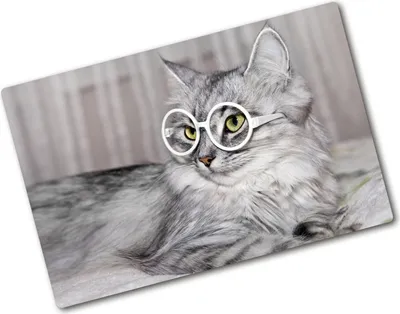 Produktbild von Tulup Glas Herdabdeckplatte - 80x52 cm - Glaskeramikkochfeld-Abdeckung Spritzschutz Glasabdeckplatte - Einteilig - Tiere - Katze mit Brille - Grau