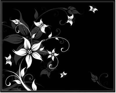 Produktbild von Wallario Wandbild Blumenranke in Schwarz-Weiß, Größe: 40,30 x 50,30 cm, Poster mit schwarzem Aluminiumrahmen