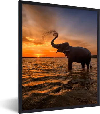 Produktbild von MuchoWow® Gerahmtes Poster Elefant - Meer - Tiere - Sonnenuntergang - Orange 60x80 cm - Poster mit Schwarzem Bilderrahmen Wandposter Rahmen Foto Bilder - Premium - Wanddeko Wohnzimmer