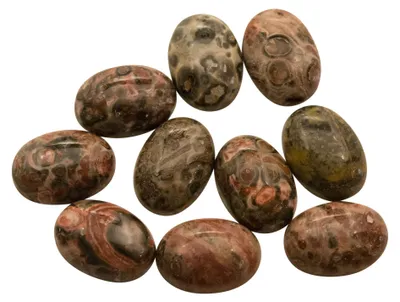 Produktbild von 10 Hochwertige Leopardskin Rhyolith Cabochons, 14 x 10 mm