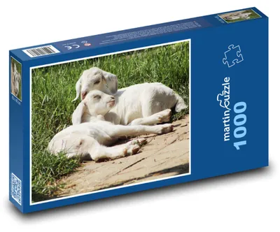 Obrázok produktu pre Puzzle 1000 Kozliatka na Paši - martinpuzzle
