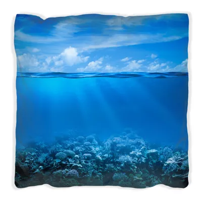 Produktbild von Wallario Premium Kissen, weiche Oberfläche, mit Motiv Unterwasserwelt Meer, Größe: 60 x 60 cm, mit weißer Rückseite