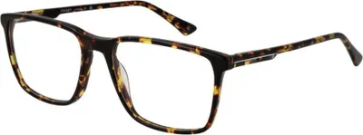 Image de Monture de lunettes Hackett London HEK1326 55188