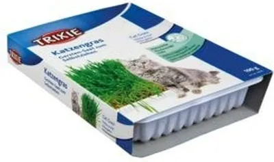 Imagen del producto de Trixie - Plato para hierba gatera, plato/aproximadamente 100 g
