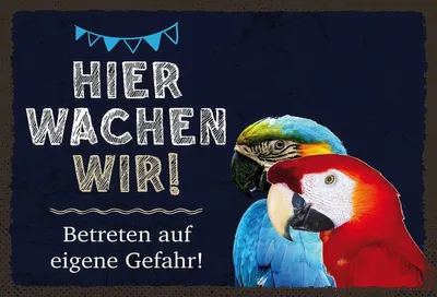 Produktbild von vianmo Holzschild 12x18 cm Papageien hier wachen wir
