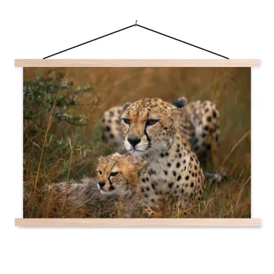Produktbild von MuchoWow® Textilposter Geparden sitzen zusammen 60x40 cm mit holzfarbenen Rahmen - Bilder