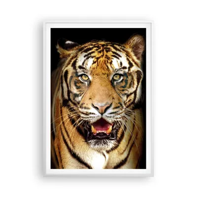 Produktbild von Gerahmtes Poster - Weißer Rahmen - tiger tier - 70x100 cm - Wand Bild - Wanddeko - Wandbilder - Kunstposter - Wandposter - Bilderrahmen - Bilder - Kunstdruck - Wandbild - P2WPA70x100-4103