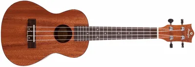 Produktbild von Konzert-Ukulele BC210, Mahagoni, schwarz-matt, Aquila Saiten, 58 cm, 380 mm Mensur