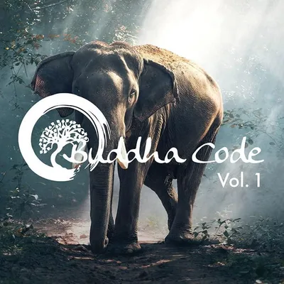 Obrázek produktu pro Buddhův kodex Vol.1