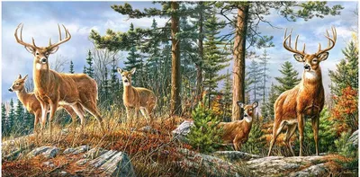 Zdjęcie produktu dla Puzzle 4000 elementów - Królewska rodzina jeleni