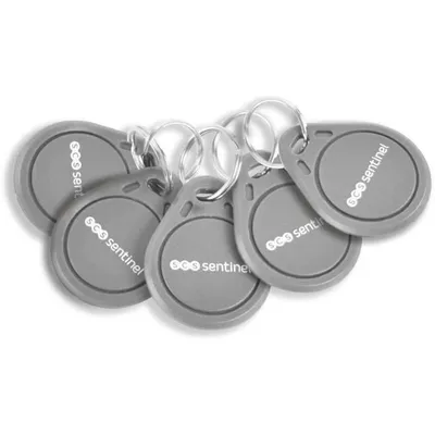 Immagine prodotto di Badge RFID SCS SENTINEL, confezione da 5, 125 kHz, compatibile con CodeAccess, portachiavi incluso