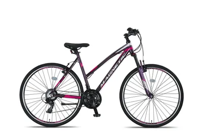 Produktbild von Altec Cityräder Damen Magnetic 28 Zoll 52 cm Damen 21G Felgenbremse Anthrazit