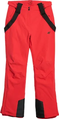 Imagen del producto de Pantalones 4F, modelo S1414, talla: 174