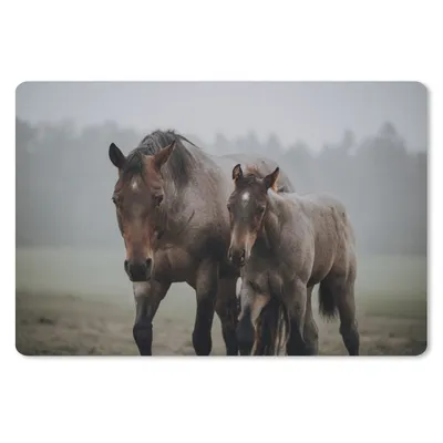 Produktbild von MuchoWow® Schreibtischunterlage Pferde - Nebel - Gras 60x40 cm - XXL Mauspad - Großes Mauspad