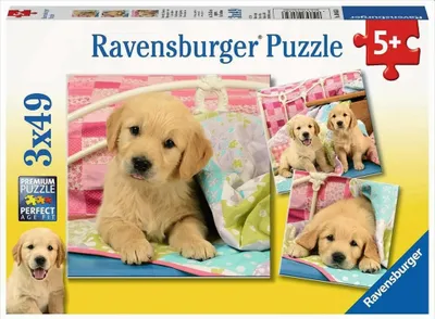 Image de Petits chiens tout doux Ravensburger 08065