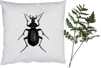 Produktbild von MuchoWow® Zierkissen Sofakissen Wohnzimmer Dekokissen 60x60 cm Schwarz und weiß - Käfer - Vintage - Insekten - Sitzfläche - Foto Polster