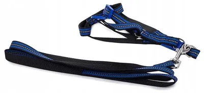 Produktbild von Verk 19127 Nylon-Hundegeschirr mit Leine, 125 x 2,5 cm, blau