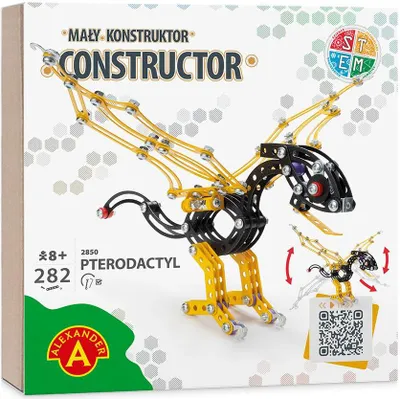 Image de Petit ptérodactyle 28508 Bâtisseur