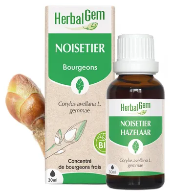 Produktbild von Herbalgem - Haselnussknospen - -Qualität - 30 ml