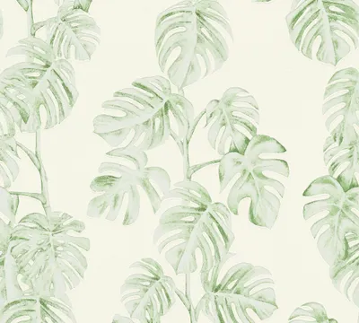 Produktbild von A.S. Création Dschungeltapete Greenery Palmentapete Vliestapete grün weiß 10,05 m x 0,53 m