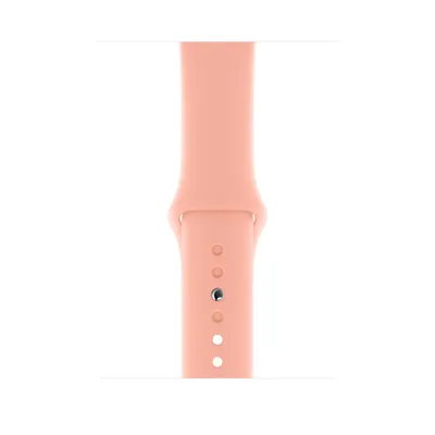 Produktbild von Apple Watch 44Mm Traube Sportband Regular