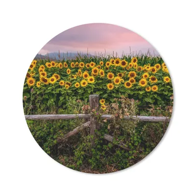 Produktbild von MuchoWow® Mauspad Mousepad Sonnenblume - Blumen - Pflanzen 40x40 cm - Mousepads - Maus Mat - Pad - Mausunterlage - Schreibtisch Accessoires