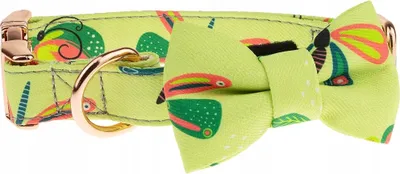 Produktbild von Modisches Glamour-Hundehalsband mit COCKET S