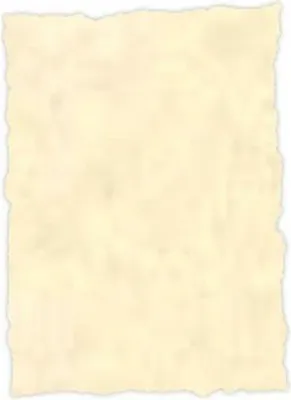 Immagine prodotto di Pergamena Michel fustellata 150gr a4 confezione 25u topazio