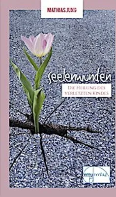 Produktbild von Seelenwunden