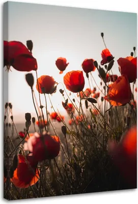 Produktbild von Leinwandbild mohnblumen in der sonne 40x60 cm Feeby rot wandbild bereit zum aufhängen