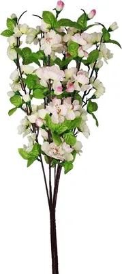 Produktbild von HAAC 6er Set künstliche Kirschblütezweig Kirschblüte 68 cm x 8cm Frühling Ostern