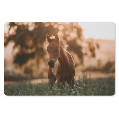 Produktbild von MuchoWow® Schreibtischunterlage Pferd - Licht - Landschaft 60x40 cm - XXL Mauspad - Großes Mauspad
