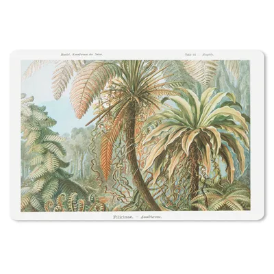 Produktbild von MuchoWow® Schreibtischunterlage Vintage - Alte Meister - Farne - Pflanzen - Natur 60x40 cm - XXL Mauspad - Großes Mauspad