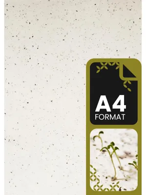 Produktbild von Netuno 5x Samenpapier DIN A4 21x29,7 cm Büttenpapier handgeschöpft
