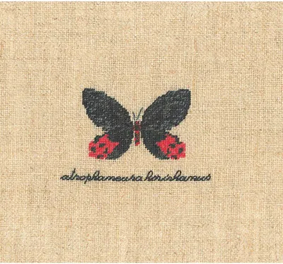 Obrázok produktu pre Vyšívacia súprava Le Bonheur des Dames Petit Point "Miniatúra čierneho