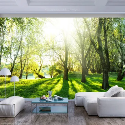 Produktbild von Basera Fototapete Waldmotiv c-B-0336-a-a, Vliestapete, 350x245 cm