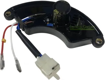 Sallygardens Carburateur Avec Bougie D'allumage Pour Einhell RT-PG 2500