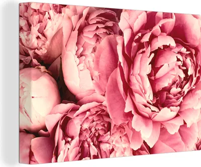 Obrázok produktu pre OneMillionCanvasses® - Obrazy na plátne - 140x90 cm, Ruže - Kvetina - Ružová, Nástenná dekorácia